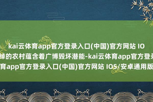 kai云体育app官方登录入口(中国)官方网站 IOS/安卓通用版/手机版宽绰的农村蕴含着广博毁坏潜能-kai云体育app官方登录入口(中国)官方网站 IOS/安卓通用版/手机版
