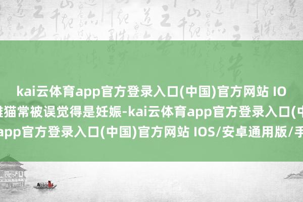 kai云体育app官方登录入口(中国)官方网站 IOS/安卓通用版/手机版雌猫常被误觉得是妊娠-kai云体育app官方登录入口(中国)官方网站 IOS/安卓通用版/手机版