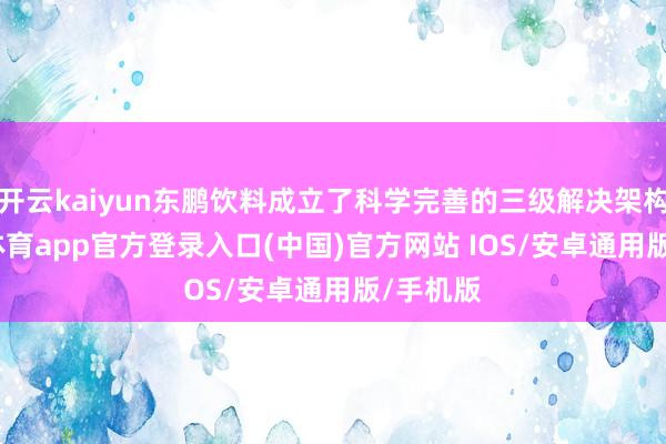 开云kaiyun东鹏饮料成立了科学完善的三级解决架构-kai云体育app官方登录入口(中国)官方网站 IOS/安卓通用版/手机版