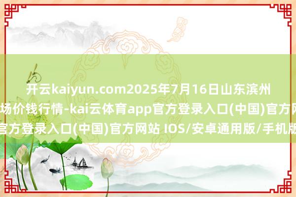 开云kaiyun.com2025年7月16日山东滨州(六街）鲁北蔬菜批发商场价钱行情-kai云体育app官方登录入口(中国)官方网站 IOS/安卓通用版/手机版