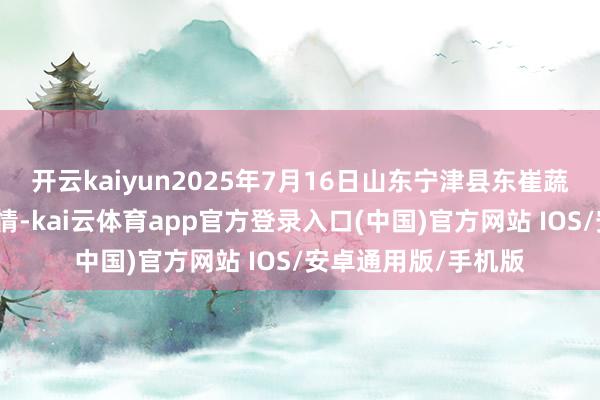 开云kaiyun2025年7月16日山东宁津县东崔蔬菜批发市集价钱行情-kai云体育app官方登录入口(中国)官方网站 IOS/安卓通用版/手机版