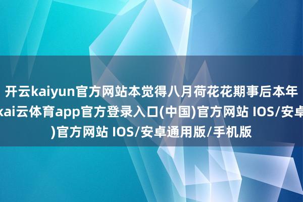 开云kaiyun官方网站本觉得八月荷花花期事后本年就无缘相遇了-kai云体育app官方登录入口(中国)官方网站 IOS/安卓通用版/手机版