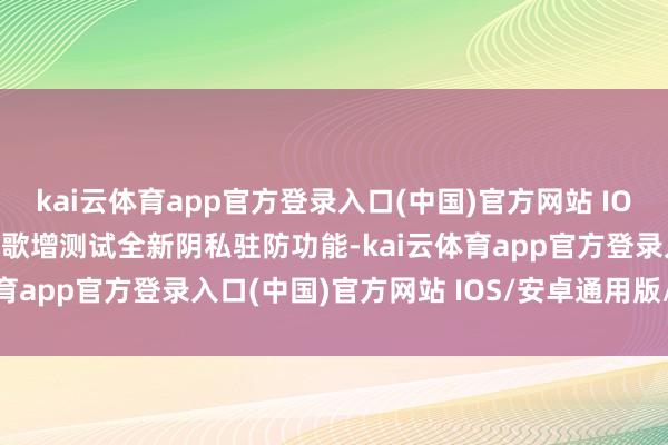 kai云体育app官方登录入口(中国)官方网站 IOS/安卓通用版/手机版谷歌增测试全新阴私驻防功能-kai云体育app官方登录入口(中国)官方网站 IOS/安卓通用版/手机版