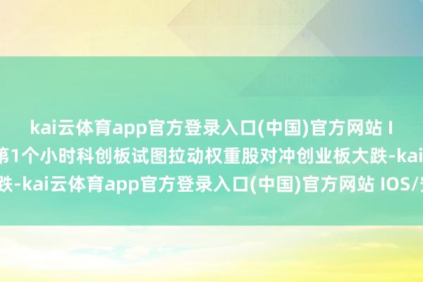 kai云体育app官方登录入口(中国)官方网站 IOS/安卓通用版/手机版第1个小时科创板试图拉动权重股对冲创业板大跌-kai云体育app官方登录入口(中国)官方网站 IOS/安卓通用版/手机版