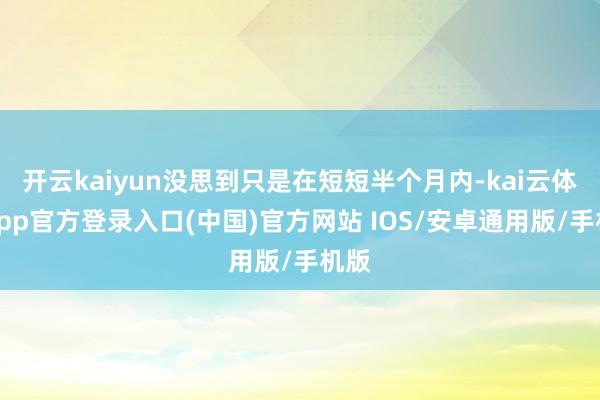 开云kaiyun没思到只是在短短半个月内-kai云体育app官方登录入口(中国)官方网站 IOS/安卓通用版/手机版